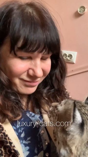 Lovely bobcat 🥰🥰🥰