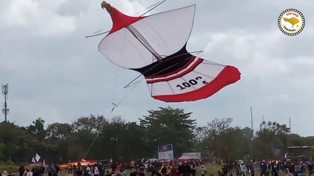 BIG KUIR BERJUANG KERAS DI UDARA❗❗ Pelangi Bali Kite Festival #44 | Padang Galak 17 Juli 22 смотреть онлайн