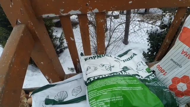 ПТАХІВНИЦТВО ДЛЯ ПОЧАТКІВЦІВ.  Кури , качки, індики і ВСЕ НАЙКОРИСНІШЕ для них. Мінеральні добавки.