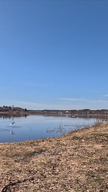 г. Тотьма солнечное утро всем хорошего дня смотреть онлайн