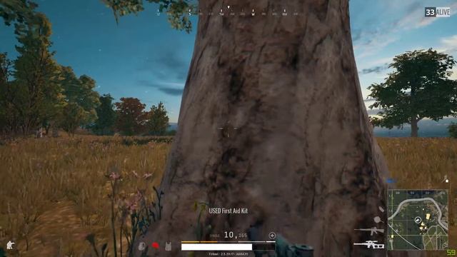 PLAYERUNKNOWN'S BATTLEGROUNDS 08 25 2017 16 52 23 14 DVR смотреть онлайн