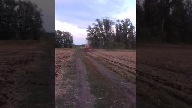 Дискование стерни. К744 р1 и БДМ 6×4