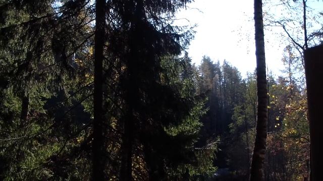 Линдуловская роща. смотреть онлайн