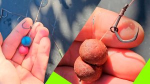 Ловим карпа по холодной воде