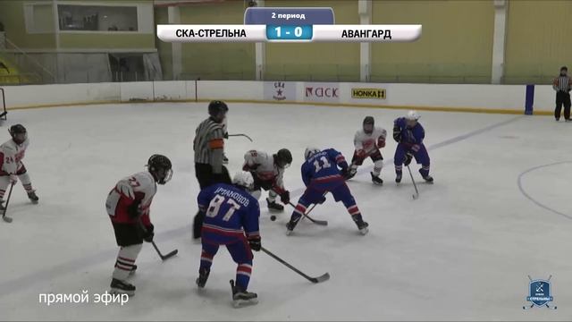 «СКА-Стрельна» (г. Санкт-Петербург) - «Авангард»  (г. Омск) смотреть онлайн