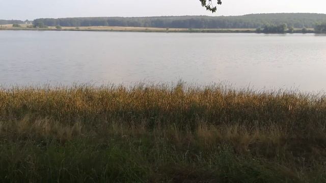 Ruzhyn/ Ружин, Ukraine
