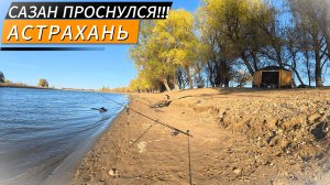 ОДИН! ДИКАРЕМ! В АСТРАХАНЬ!!! ВЕСНА 2025! САЗАН!!!