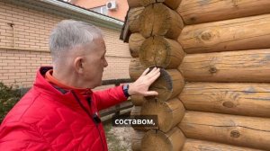 СПАСАЕМ СРУБ ОТ ЖУКА