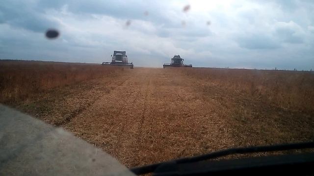 harvester РСМ-161 Кубань в Тульской области. смотреть онлайн