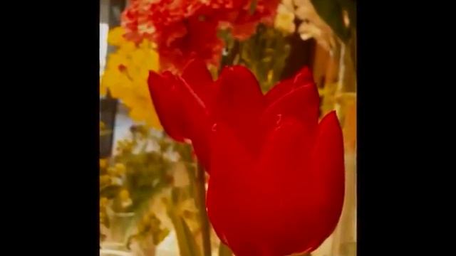 CerezoRosa --Harmonica смотреть онлайн