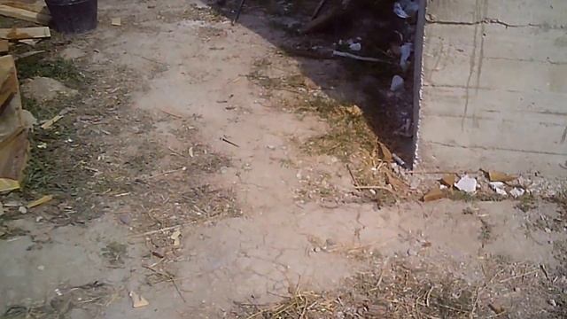 МПС Алматы. Как это делается? За "кулисами" одного видеосюжета. 25.09.16. смотреть онлайн