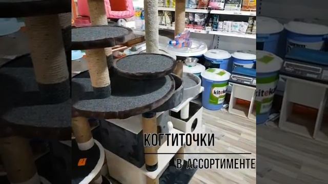 Ветеринарная аптека, зоомагазин  Шымкент