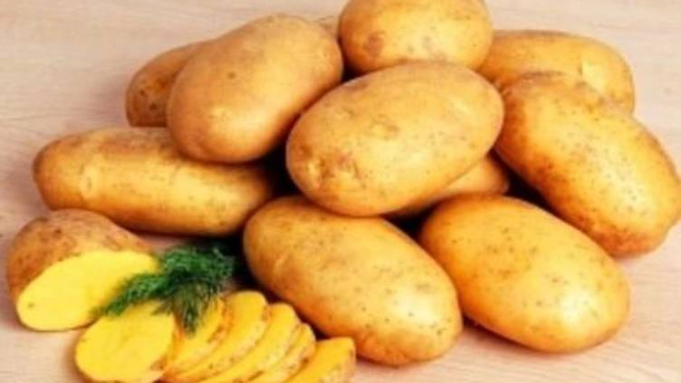 Королева Анна - картофель который я выбрала для посадки смотреть онлайн