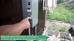 ОБЗОР АВТОДВЕРЦЫ В КУРЯТНИК с таймерами управления времени