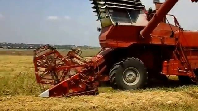 уборка ячменя комбайном СК 5 нива