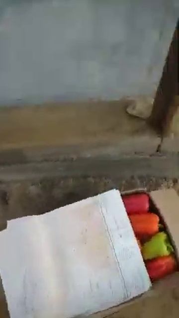 Болгарский перец оптом смотреть онлайн