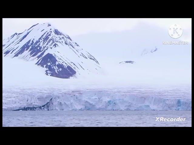 мы родились в сибири//за чей счёт банкет?//обзор канала смотреть онлайн