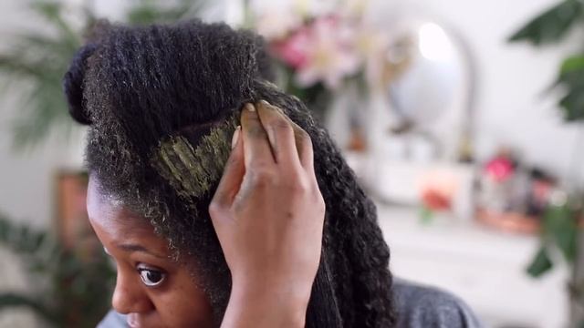 Cassia Obovata Treatment| Improve Growth & Strengthen Hair| Ayurvedic Hair Care