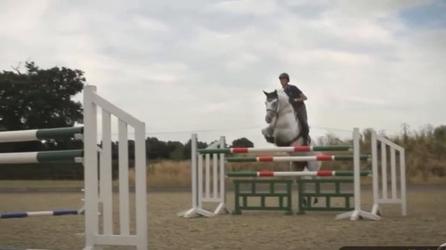 Delicious-Jensation | Конный спорт смотреть онлайн