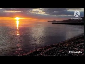мы родились в сибири//заработок на дзене//обзор канала