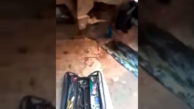 Arumando o 1313 do Coyote. смотреть онлайн