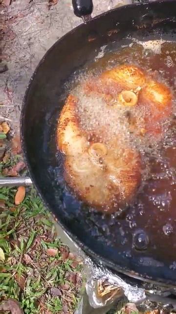 #fish #fishing #comment #subscribers#foryou#floridafishing #baracuda #fresh #cooking#pescaesportiva