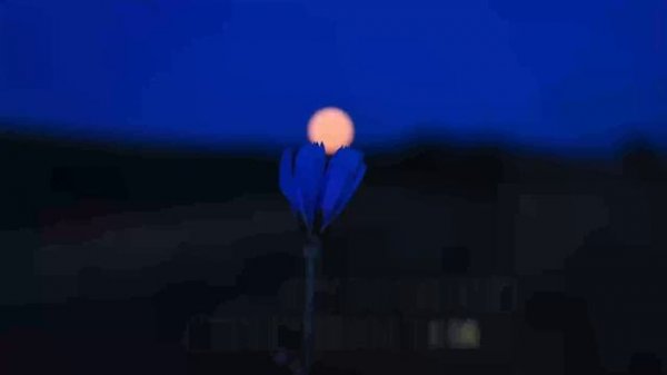 Memory- CATS #cats #memory(Piano Instrumental with Lyrics)