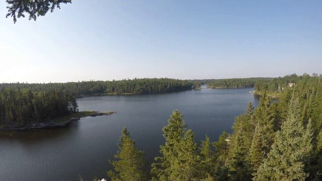 CoDom Spruce смотреть онлайн