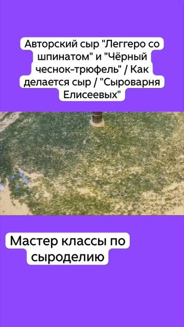 Авторский сыр "Леггеро со шпинатом" и "Чёрный чеснок-трюфель" / Как делается сыр / "Сыроварня Елисее смотреть онлайн