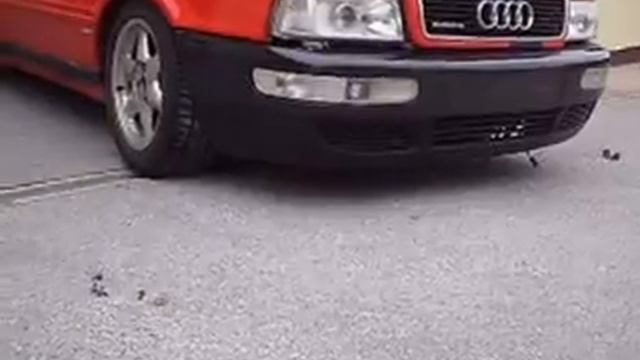 Audi 80 competition смотреть онлайн