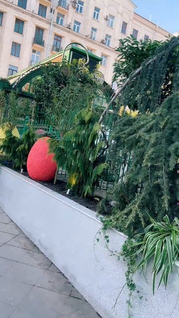 🔴 ЦЕНТР МОСКВЫ🔴 смотреть онлайн