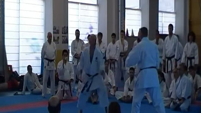 3 Мигель Гомес Накарино (каратэ). Бункай, кумитэ и ката ''Энпи'' (ч 3)