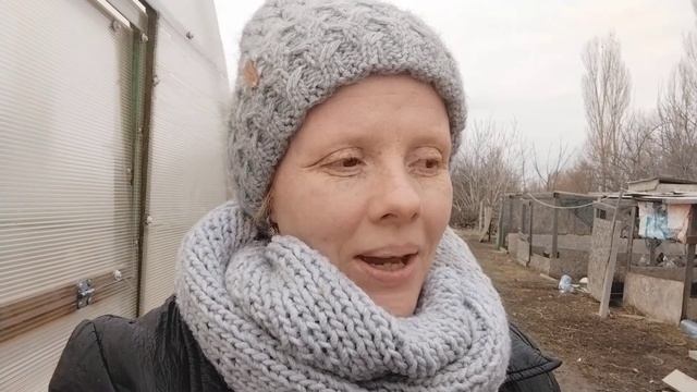 Кому козлят- нубийские милашки ищут хозяев/// хлопоты по хозяйству и новости смотреть онлайн