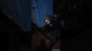 Снятие передней игрушки и установка переднего ведущего моста на Т-40