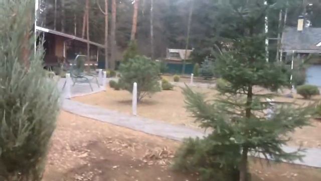 Королёв Пролетарская 36А смотреть онлайн