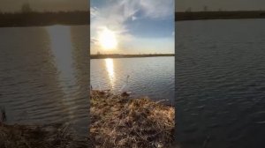 Природа оживает!!!