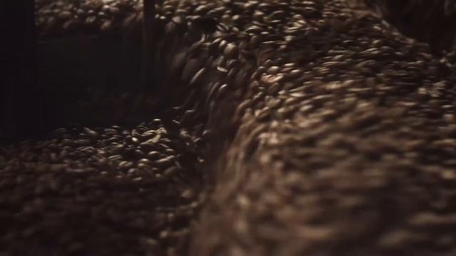 Hummingbird Coffee 40 смотреть онлайн