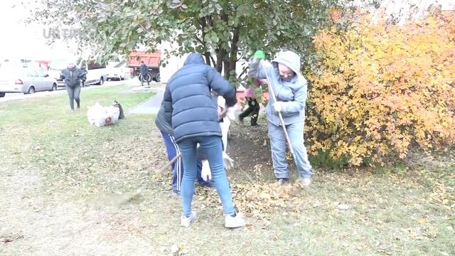 Коммунальщики в Губкине активно убирают опавшие листья смотреть онлайн