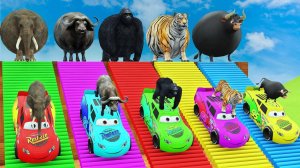 ГЕРОИ ТАЧКИ СПАСАЮТ ЖИВОТНЫХ - ЗАЛИПАТЕЛЬНОЕ ВИДЕО