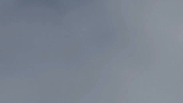 Зачетный полет голубей Коропца И. смотреть онлайн