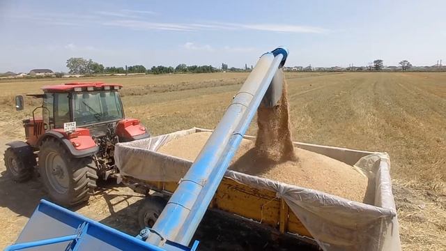 Уборка пшеницы 2022