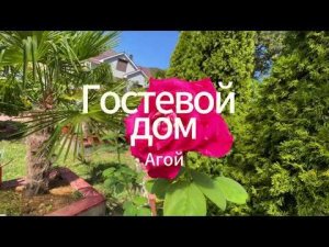 Гостевой дом "Агой"  #промо #ролик