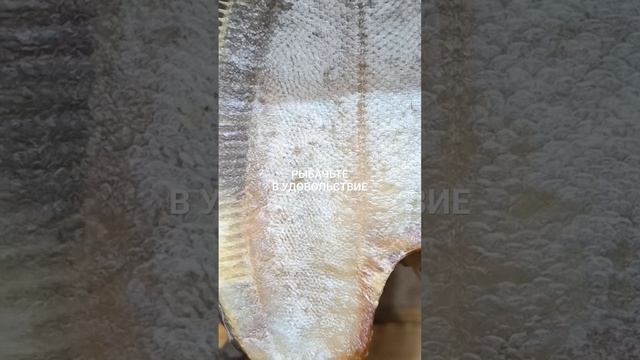 Очень вкусная рыба из Мурманска.