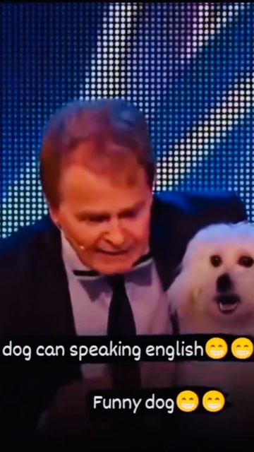 Can Dog understand and Speak #english 🤔 #shorts #trending смотреть онлайн