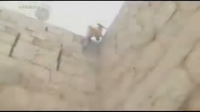 Сверхлюди Стэна Ли - Величайший Мастер Лазанья смотреть онлайн