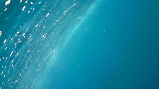 SAILFISH on water wolf, no Rapala X Rap Magnum смотреть онлайн