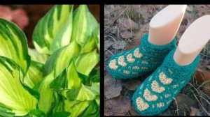 57.МК# ДЕТСКИЕ ТАПОЧКИ-СЛЕДОЧКИ НА ДВУХ СПИЦАХ БЕЗ ШВОВ #