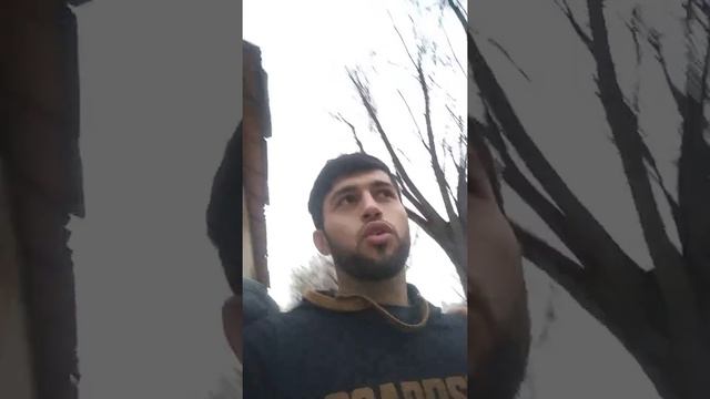 Samir озмун ташкил кад