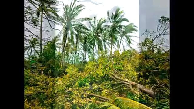 #bagyongodette #Please help kabankalan city Ilog Negros Occidental 🙏🙏🙏 смотреть онлайн