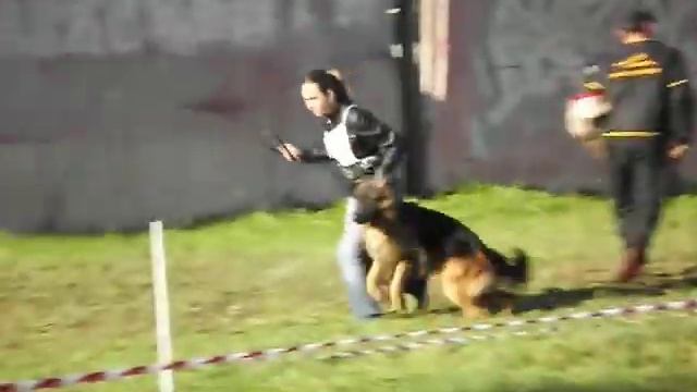 Макинтош ф. Фростен 06.09.14 г. Ковров